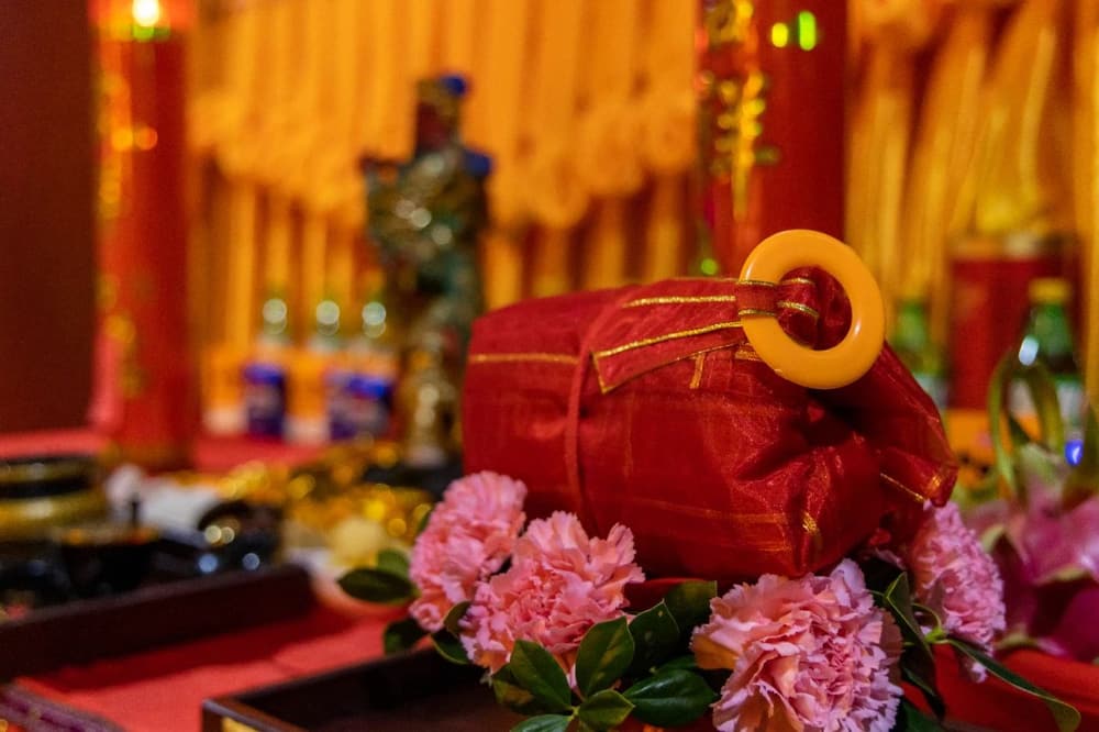 ����ӵĲƸ���