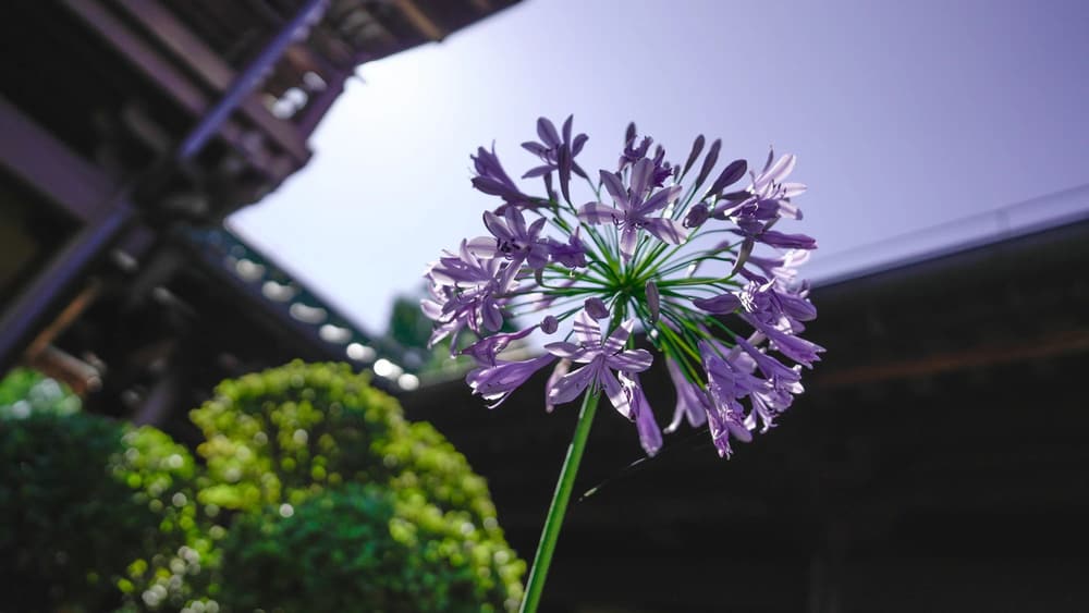 ����Ը�����������ˣ����ǳԿ࣬���Ǵ����Ըͷ