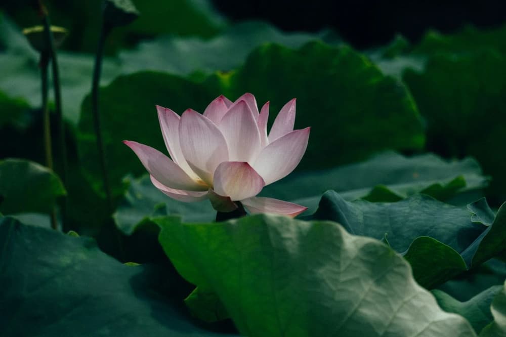 �������棨���Ŀ�ʾ���ܣ�