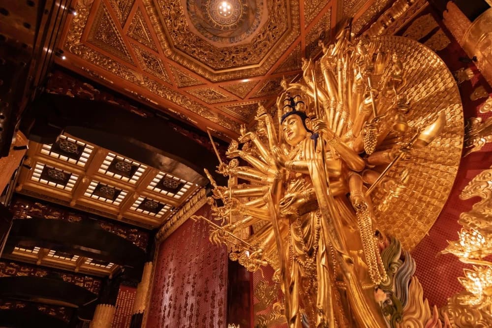 ���������߸�Ʃ��