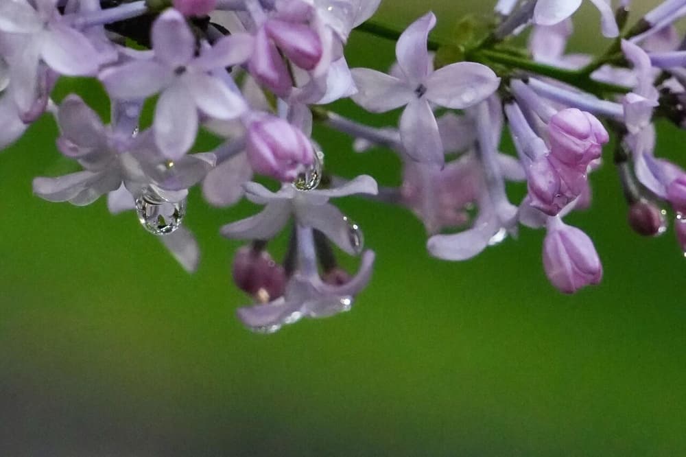 ��ʵ���ң�˭����ҵ��˭�ܹ�Ү