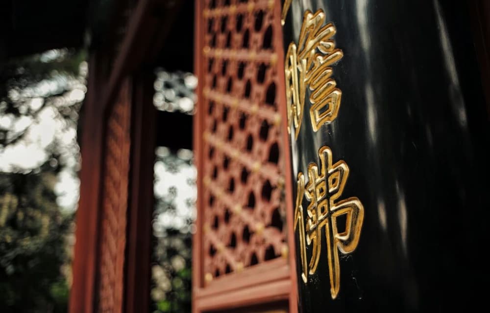 ���������ϰ�Ӧ����ôͻ��